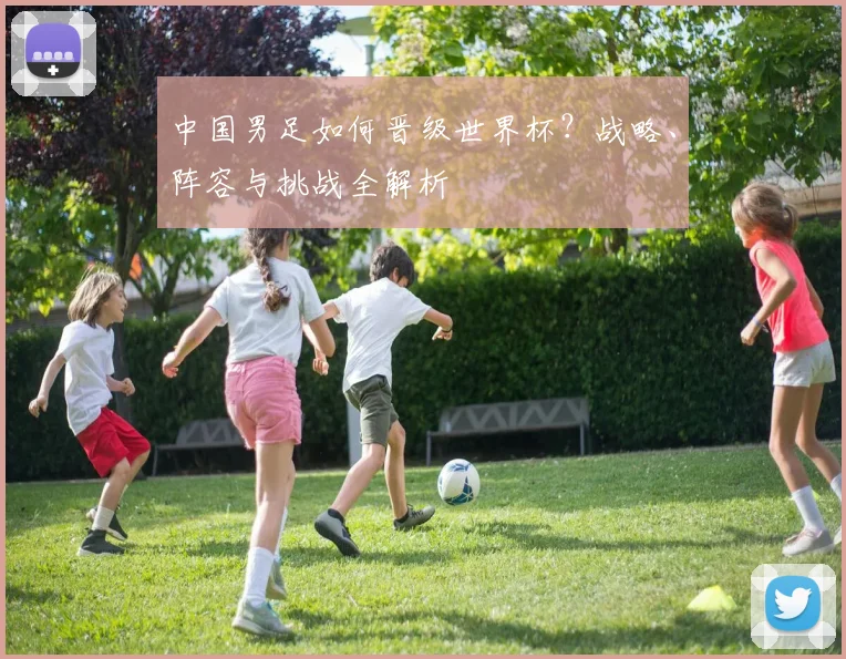 中国男足如何晋级世界杯？战略、阵容与挑战全解析