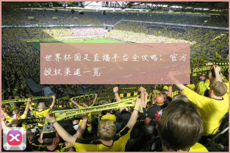 世界杯国足直播平台全攻略:官方授权渠道一览