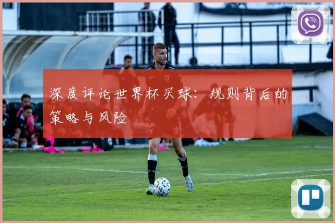 深度评论世界杯买球:规则背后的策略与风险